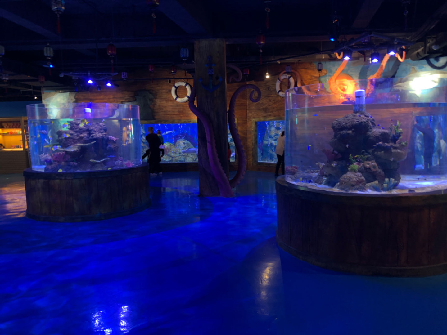 Воведување на систем за поддршка на животниот резервоар за акрилни риби